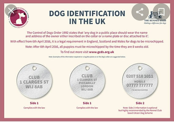 Shih Tzu Pet ID tags, various options
