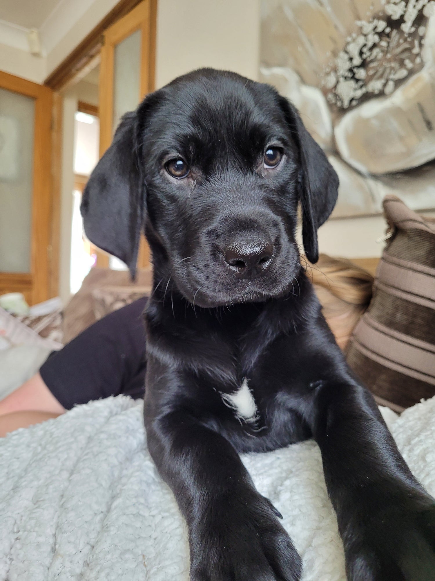 GIFTS MADE FROM PHOTOS