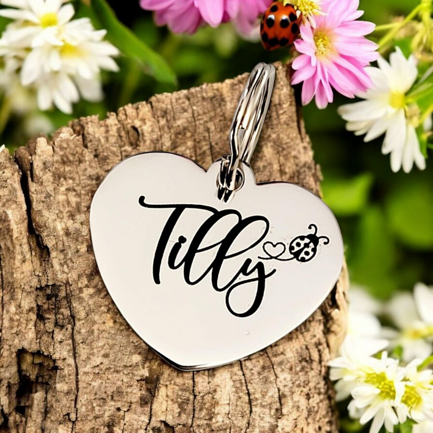 Heart shaped pet ID tags, laser engraved, various fonts to choose from.