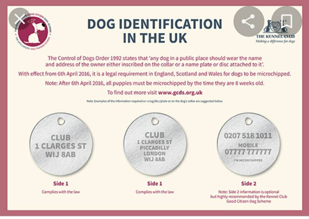 Luxury pet ID tag, dog tag, collar tag, cat tag, various colours, engraved