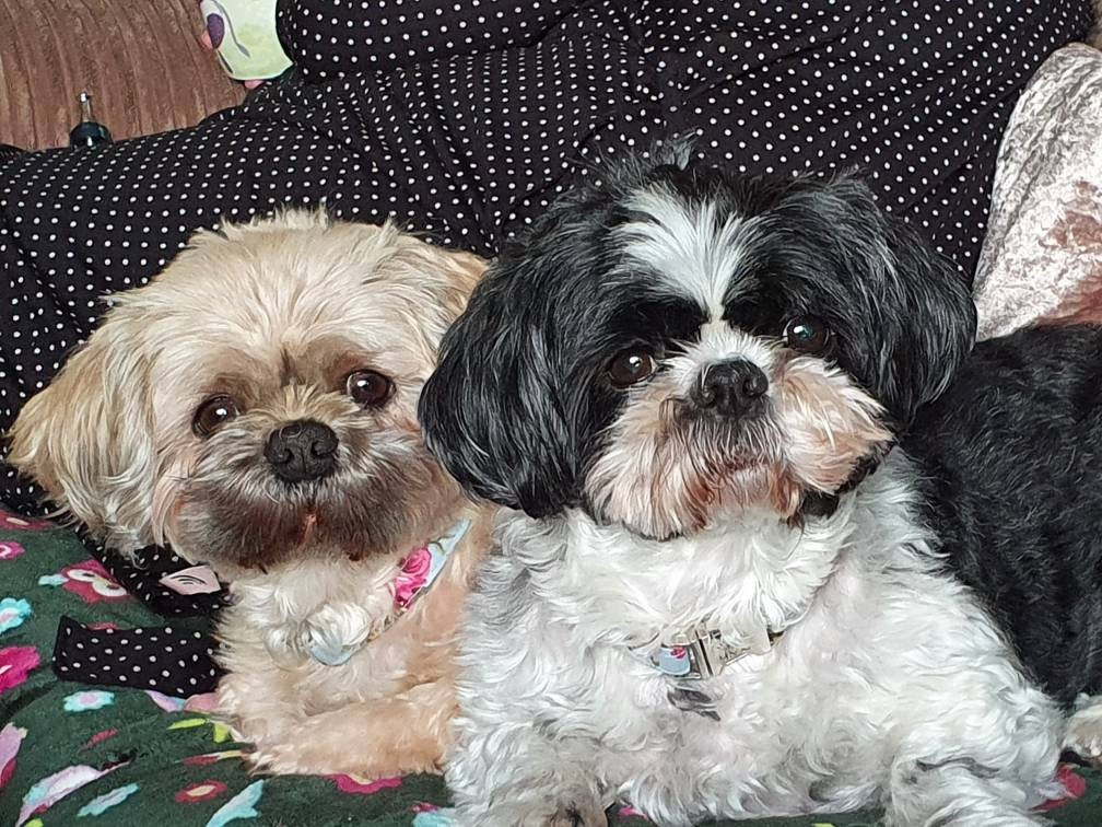 Actual photo keyring, from any photo