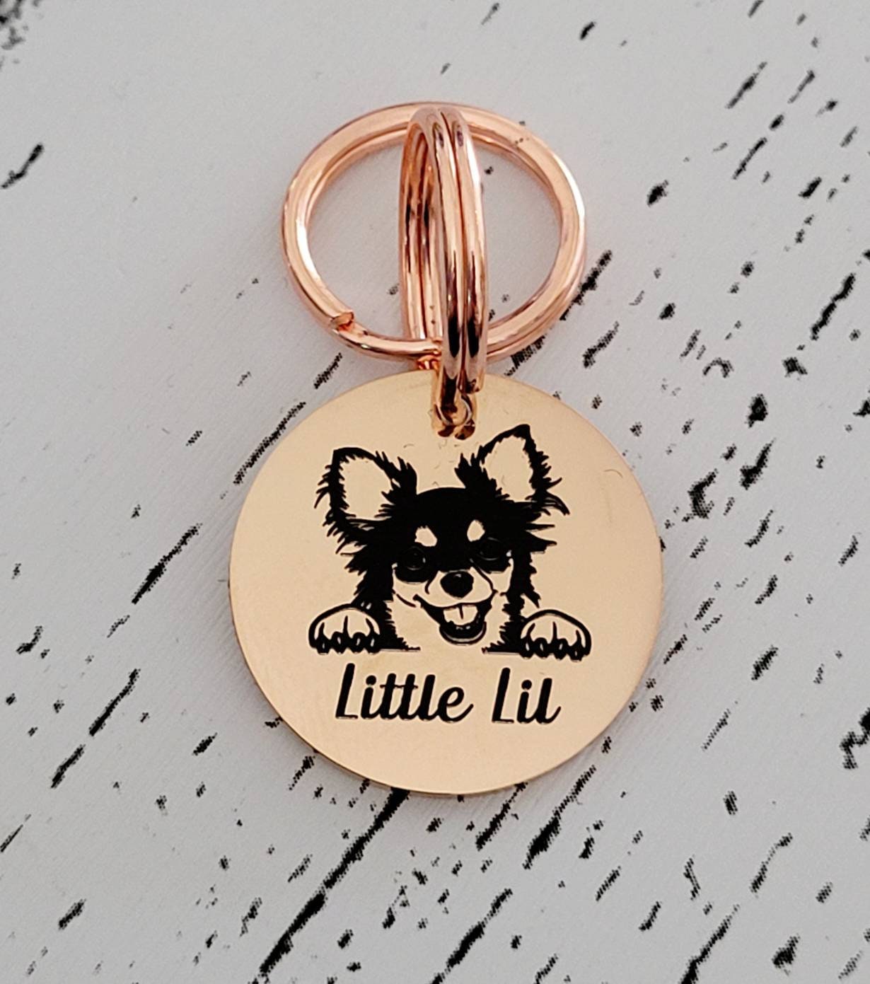 Chihuahua Pet ID tags, various options