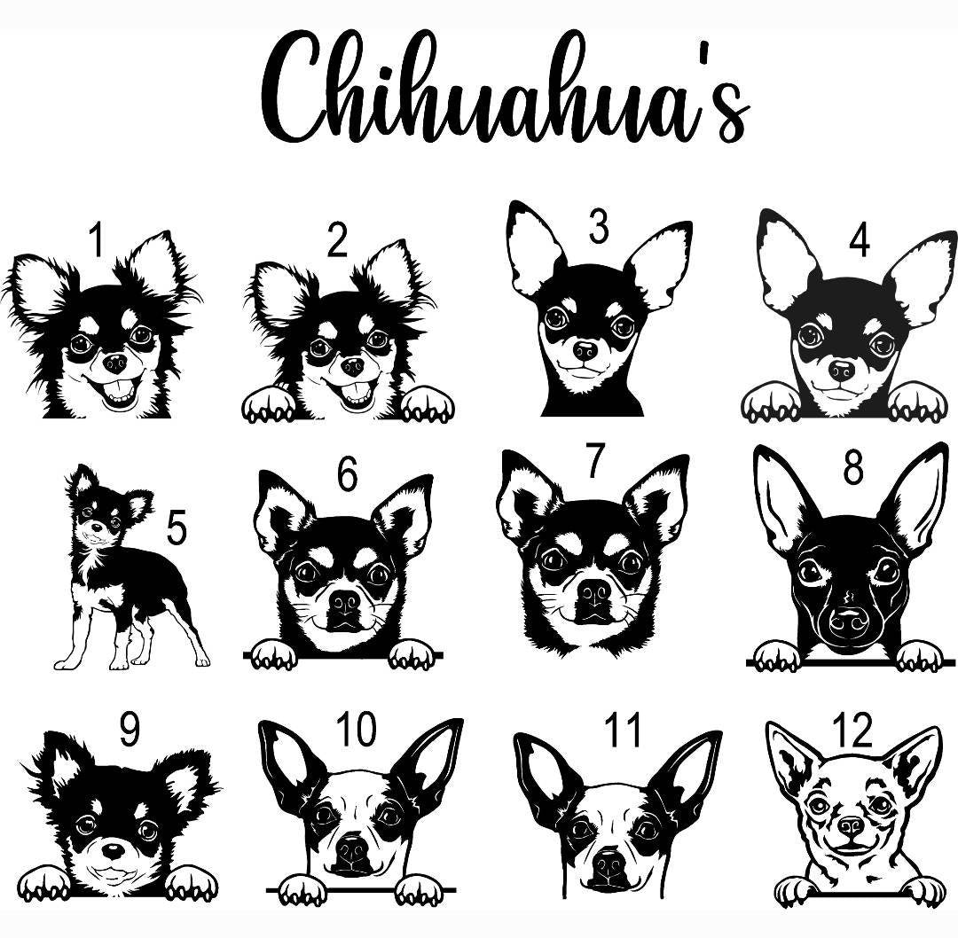 Chihuahua Pet ID tags, various options