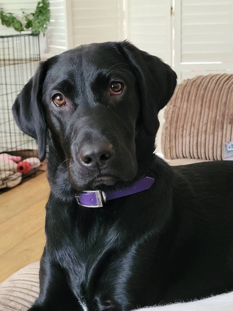 Actual photo keyring, engraved from any clear image. Gift | family | pets | stocking fillers