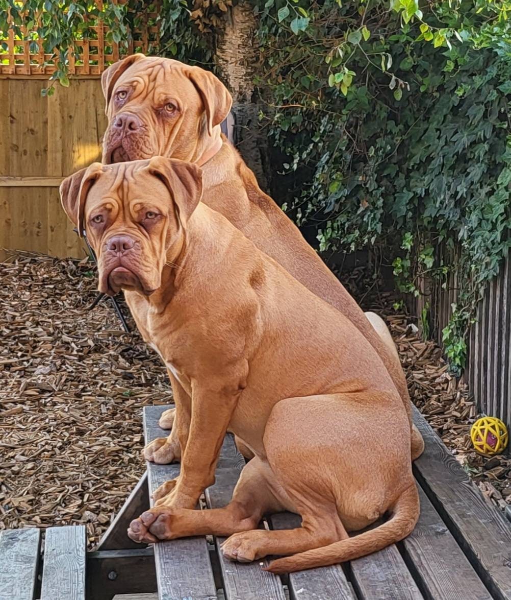 Actual photo keyring, engraved from any clear image.