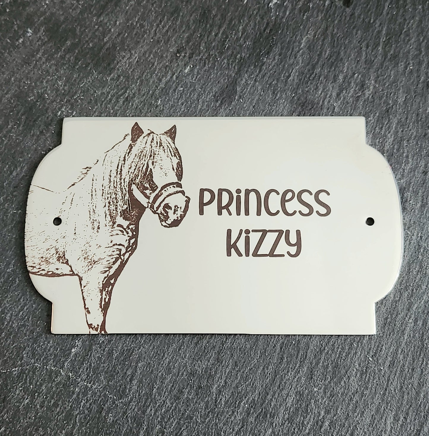 Custom Engraved Stainless Steel Real Photo Plaque for Bench| Memorial| Personalised Design| Memorial 304 Steel or Brass.