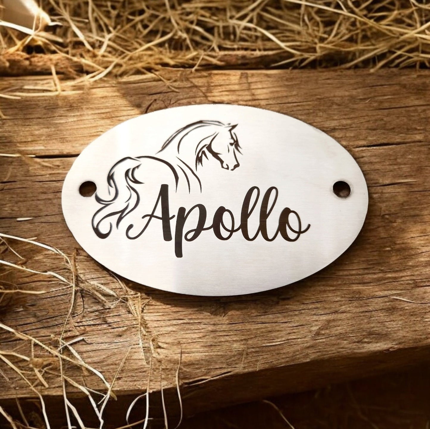 Stable door plaque with custom engraved design. 304 Steel mirror or brushed finish. 12x8cm 1mm thickness.