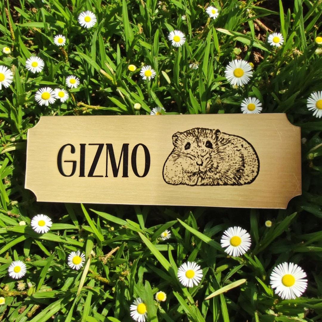 Personalised Solid Brass Name Plate – 3"x1" Engraved Plaque | Adhesive fixing | Trophies, Frames, Gifts, Furniture