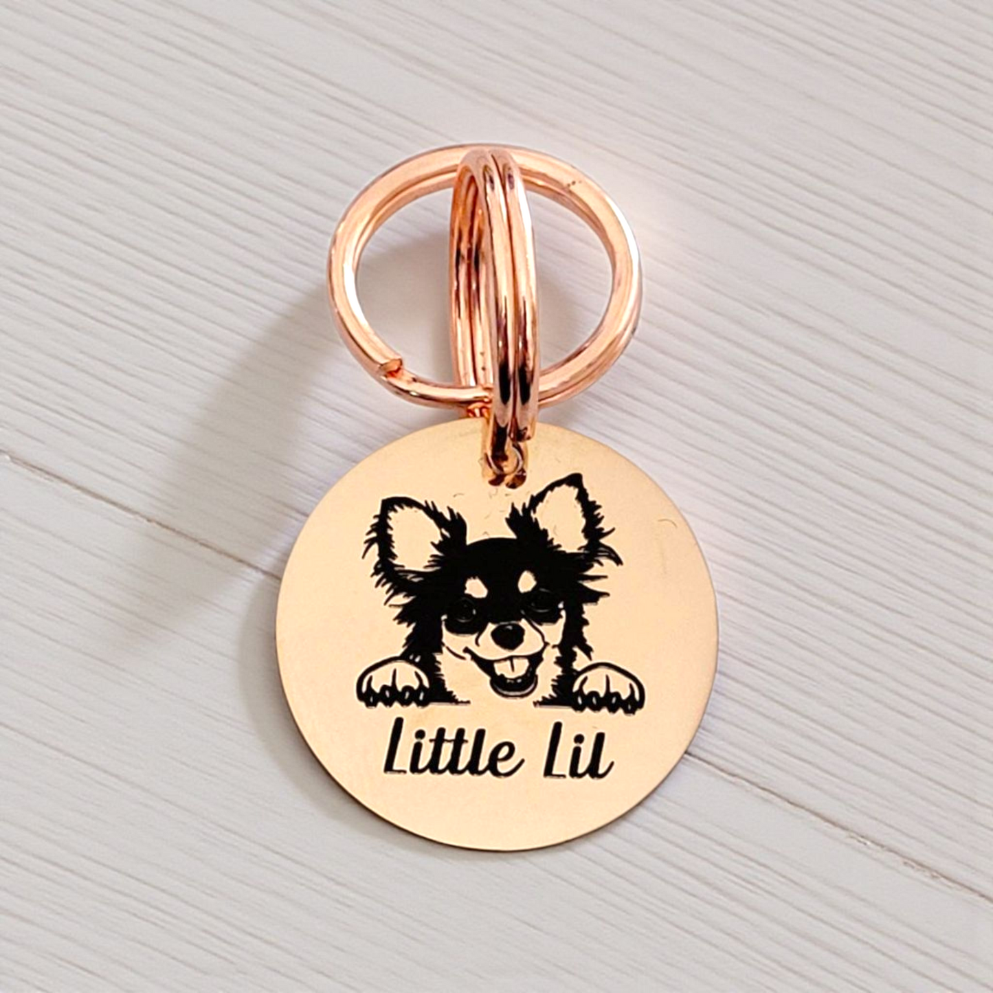 Chihuahua Pet ID tags, various options