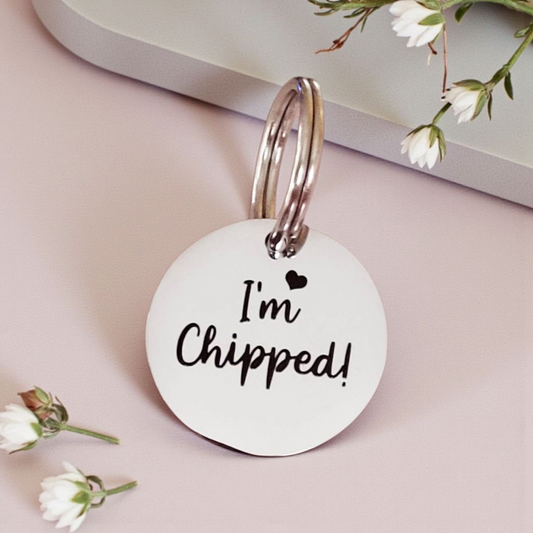 Indoor cat Tiny 20mm cat or puppy ID tags laser engraved,  stainless steel available in silver, gold and rose gold