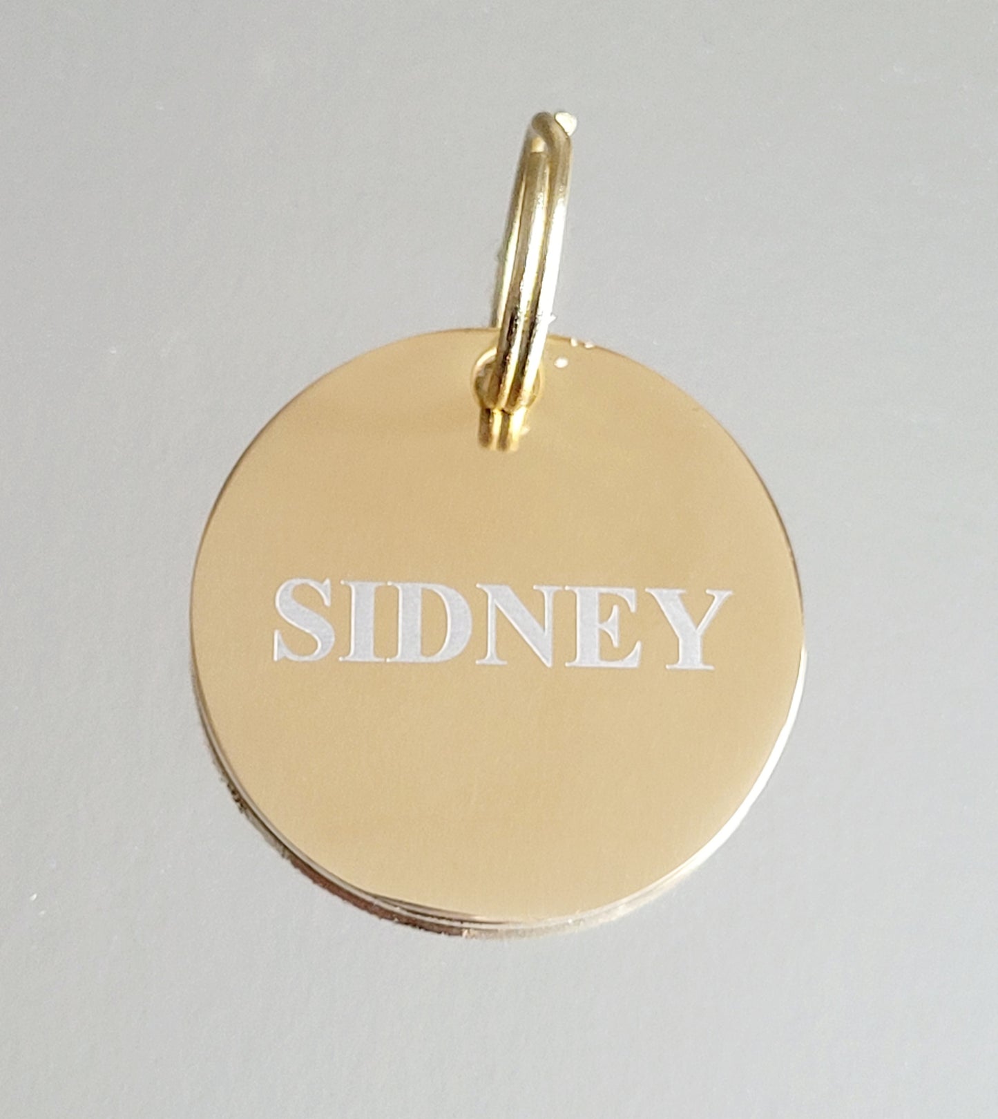 Laser Engraved stainless steel disk ID tag