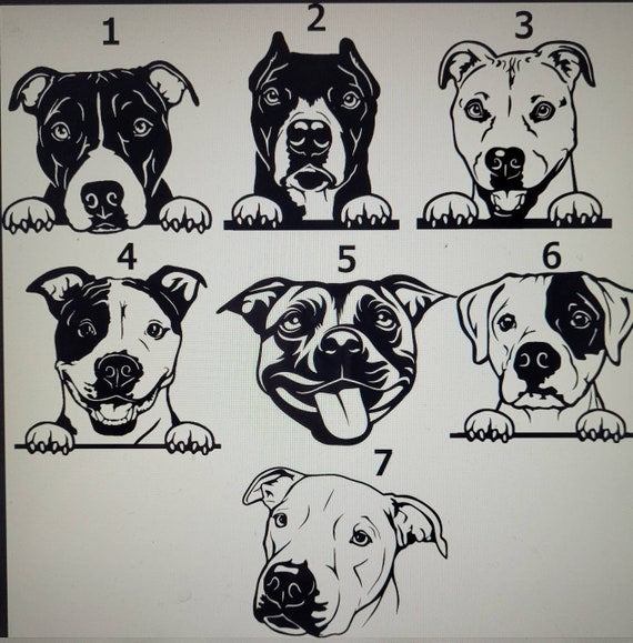Staffy Pet ID tags, various options