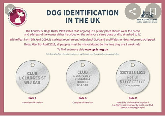 Pet tags engraved set available in silver, rose gold, gold and black.
